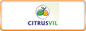 Citrusvil logo