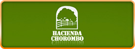 Hacienda chorombo logo