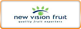 New vision logo